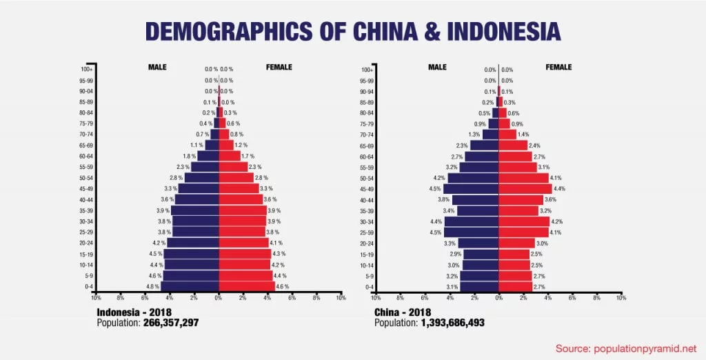comparison of demographics in China and Indonesia