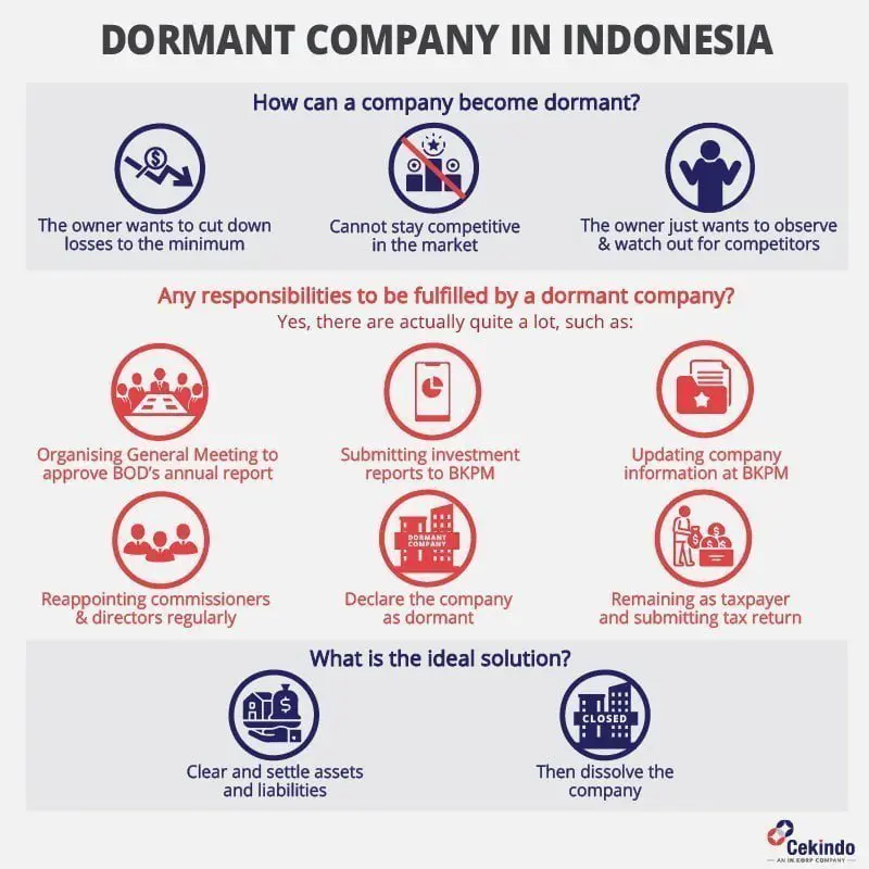 infographic - dormant company indonesia