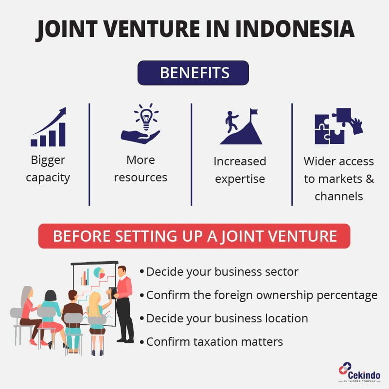 joint venture in indonesia
