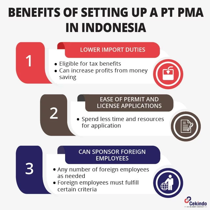 Benefits of setting up a PT PMA in Indonesia - infographic