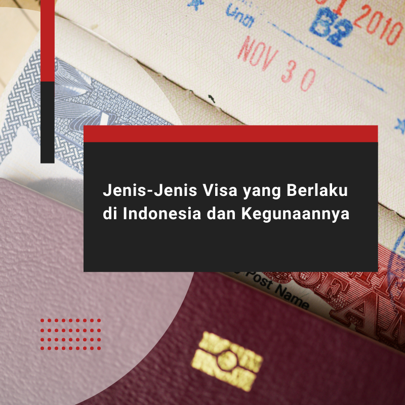jenis visa
