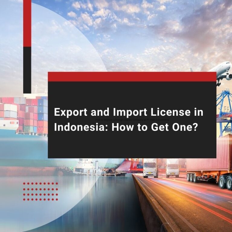 export and import license