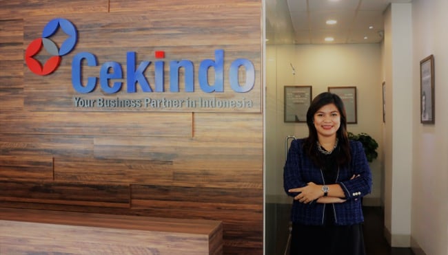 Cekindo, perusahaan konsultan di Indonesia