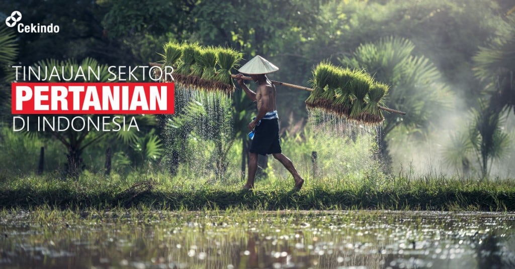 tinjauan sektor pertanian di indonesia
