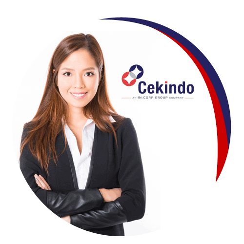 Cekindo services