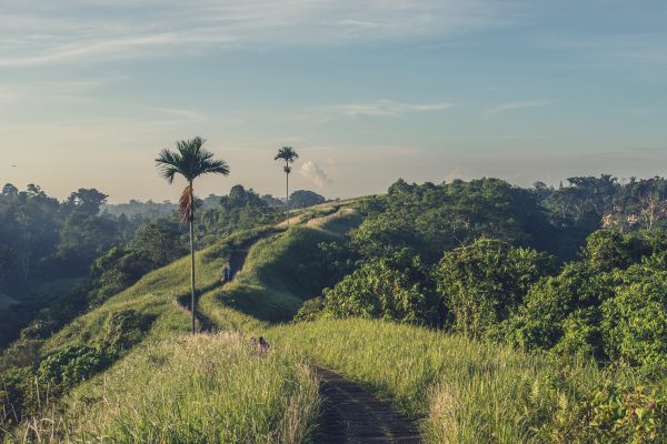 moving to bali
