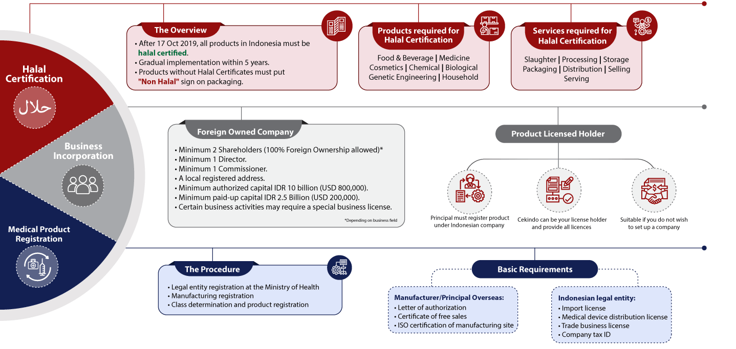 Medical Registration in Indonesia - Infographic