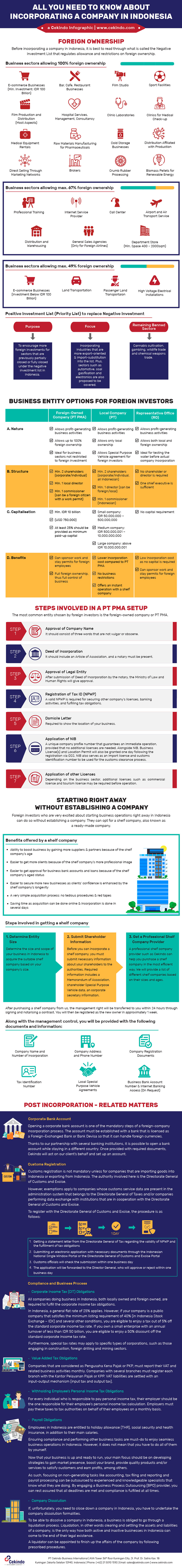 infographic
