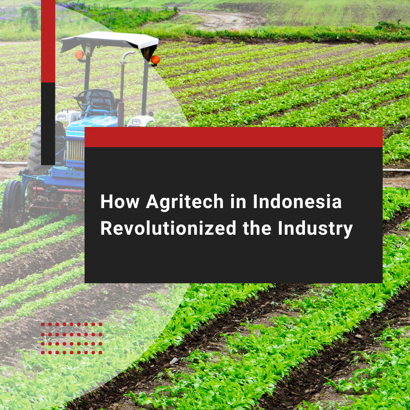 How Agritech in Indonesia Revolutionized the Industry