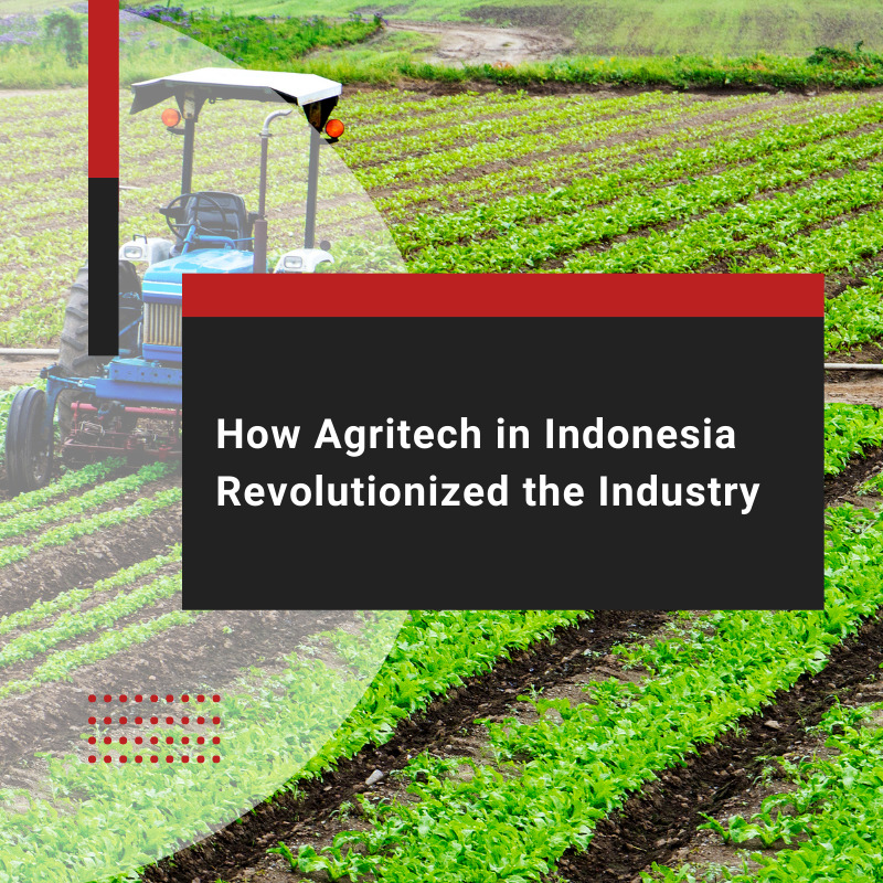 How agritech in Indonesia revolutionized the industry