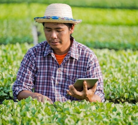 Agritech Indonesia: Opportunities and Challenges
