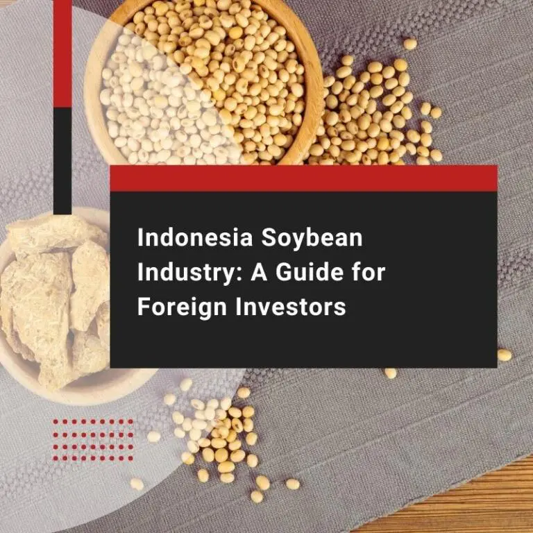 Indonesia Soybean Industry A Guide for Foreign Investors