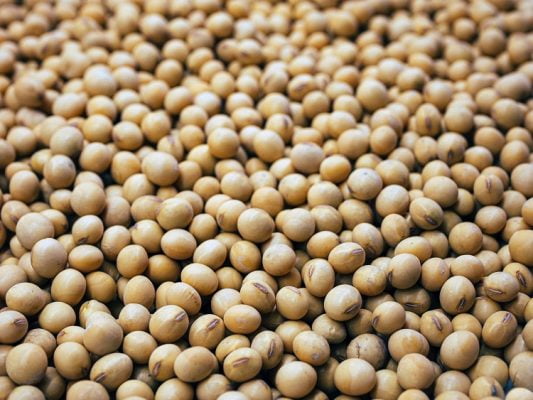 Indonesia Soybean Industry: A Guide for Foreign Investors