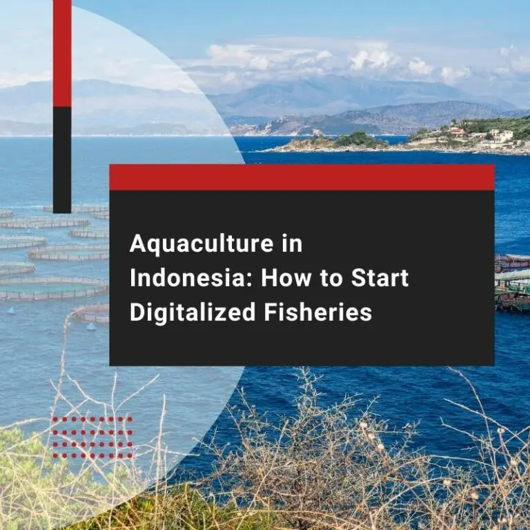 Aquaculture in Indonesia: How to Start Digitalized Fisheries