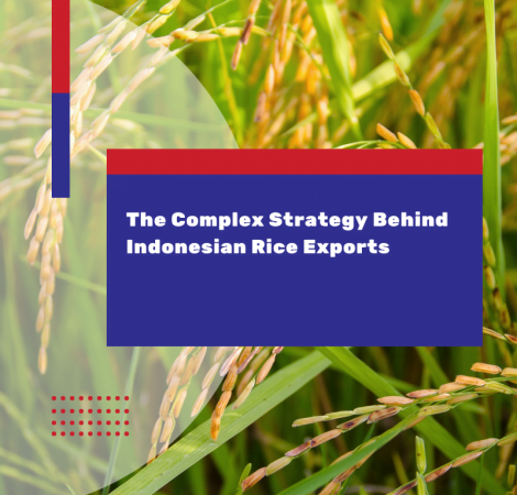 The Complex Strategy Behind Indonesian Rice Exports