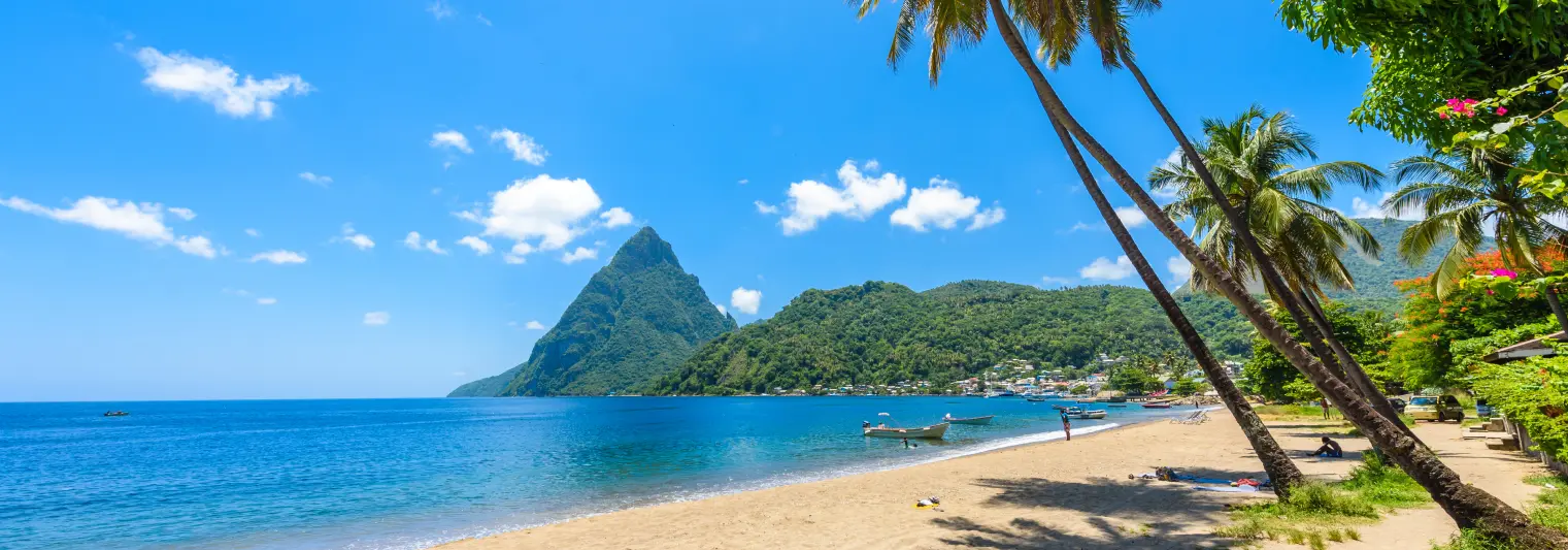 Preparing a Citizenship Application for Saint Lucia