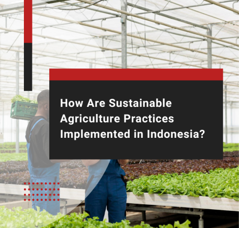 How Are Sustainable Agriculture Practices Implemented in Indonesia?