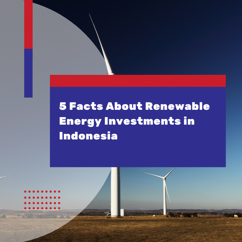 Sustainable Returns: Navigating Renewable Energy Investments