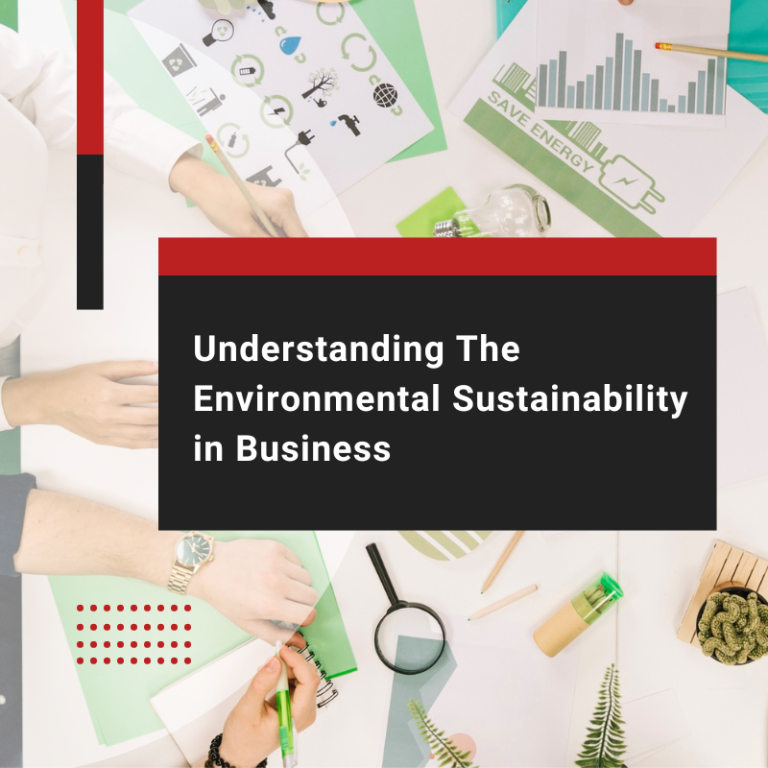 Understanding The Environmental Sustainability in Business
