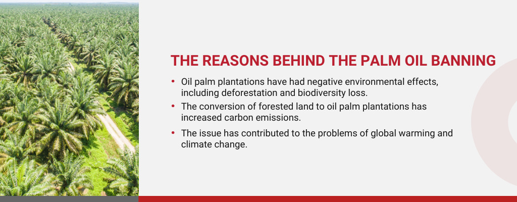 Why is Palm Oil Now Banned in Europe?