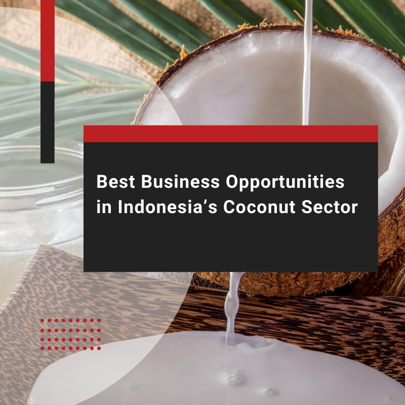 Best Coconut Indonesia Business Opportunities for Investors