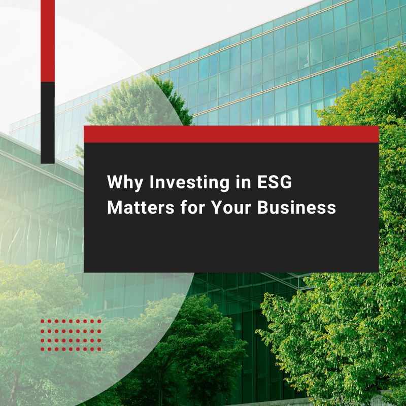 ESG Meaning in Business: Drive Relevance for the Future