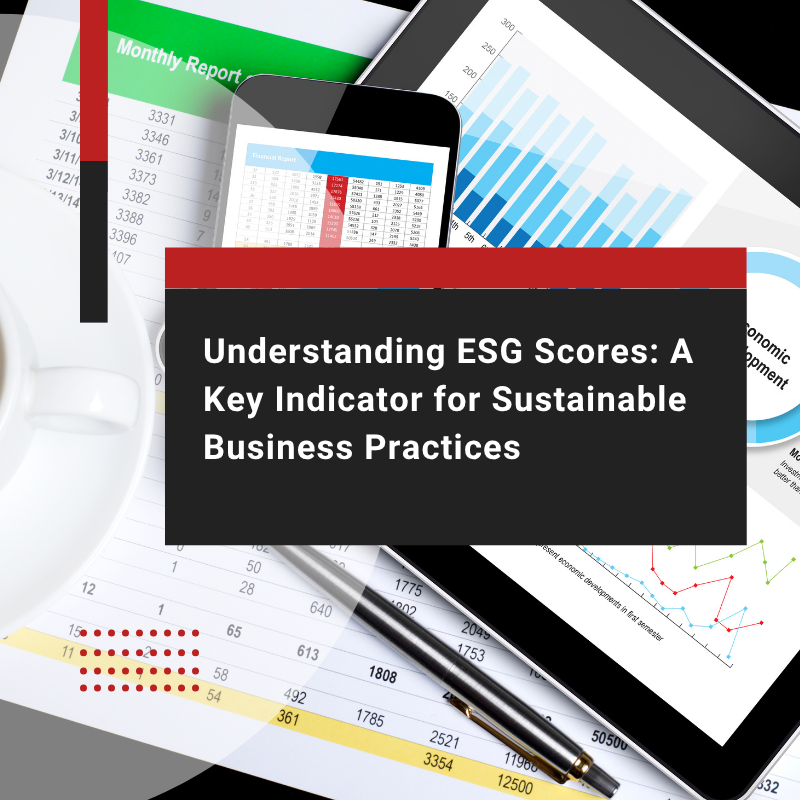 What is an ESG Score and Why Does It Matter for Business